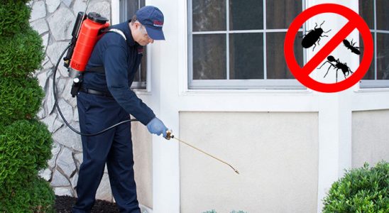 Karacasu Tahtakurusu İlaçlama böcek ilaçlama ve haşere kontrolü — ilaclama-tr.com